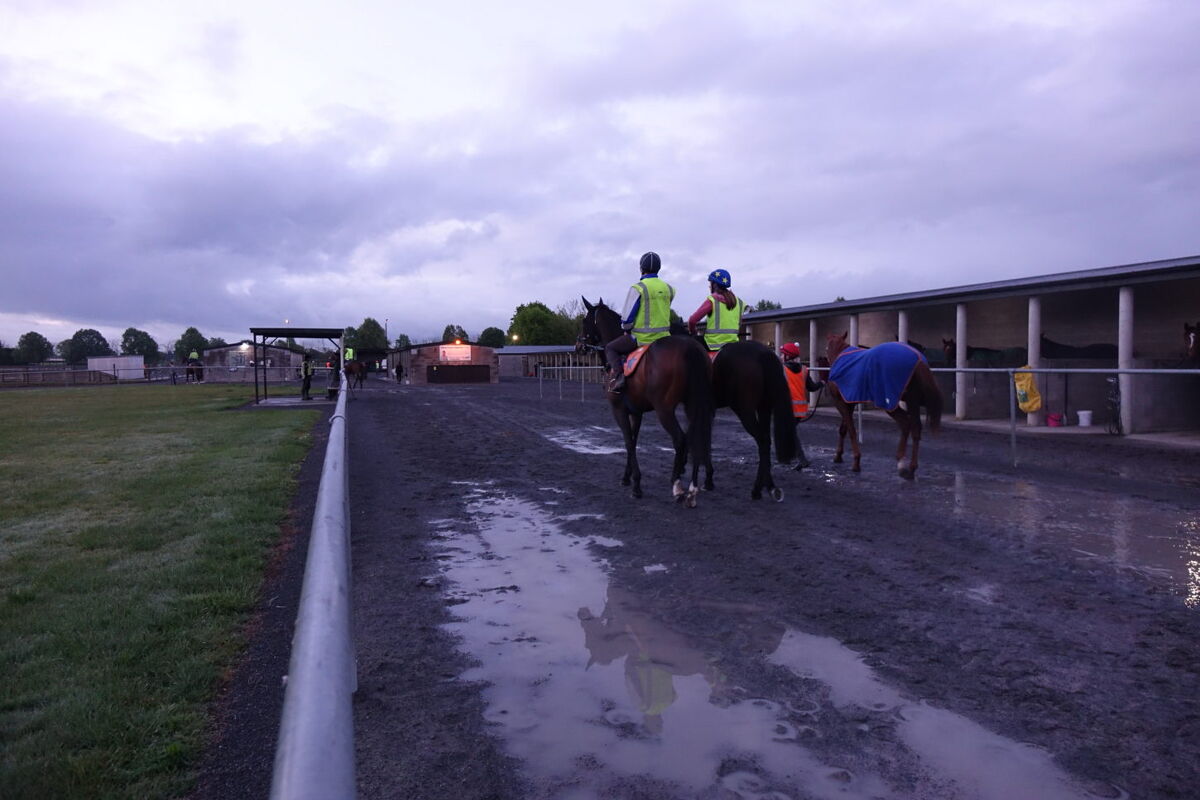 Te Akau NZ Thursday Trackwork