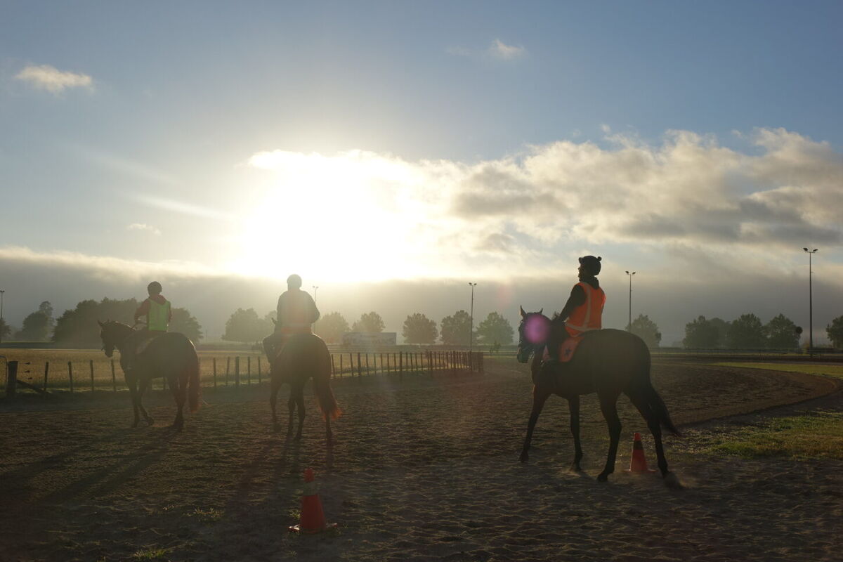 Te Akau Tuesday Trackwork