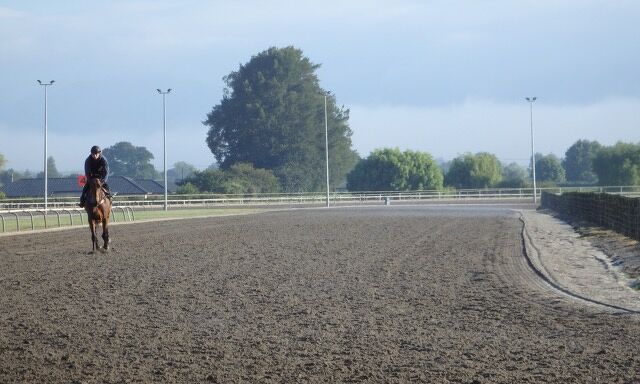 Te Akau Trans Tasman Saturday Trackwork