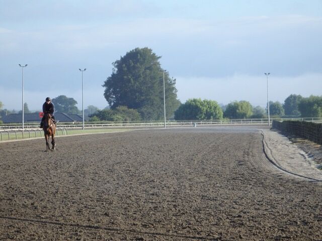 Te Akau Saturday Trackwork
