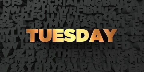 Te Akau Tuesday Update