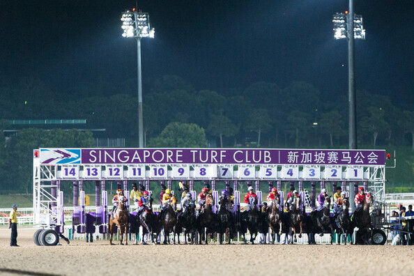 Te Akau Singapore Sunday Preview