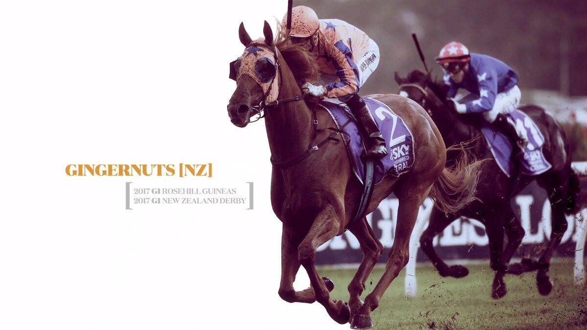 Te Akau Racing is Ready To Run