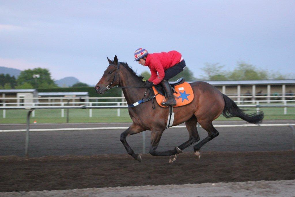 Te Akau NZ Trackwork Update