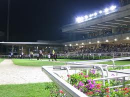 Te Akau Singapore Weekend Preview