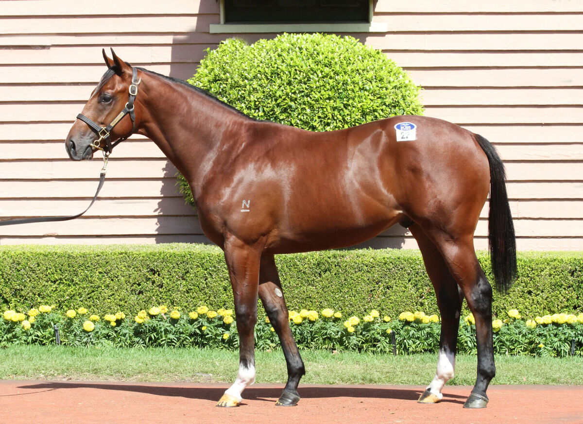 Our Striking Stratum