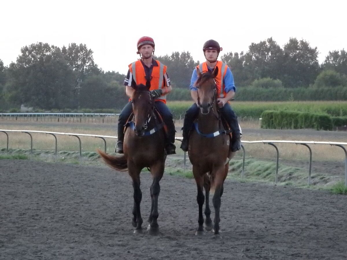 Te Akau Weekend Trackwork