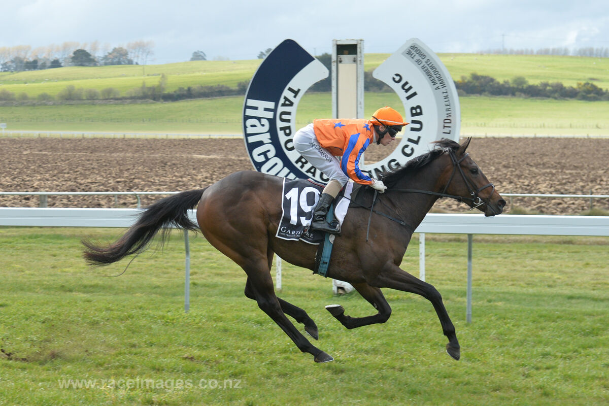 Te Akau Taupo Preview