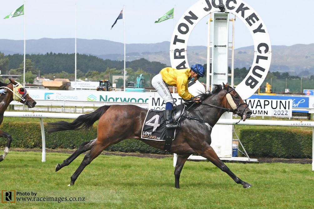 Go Nossenko - 3 Win Friday