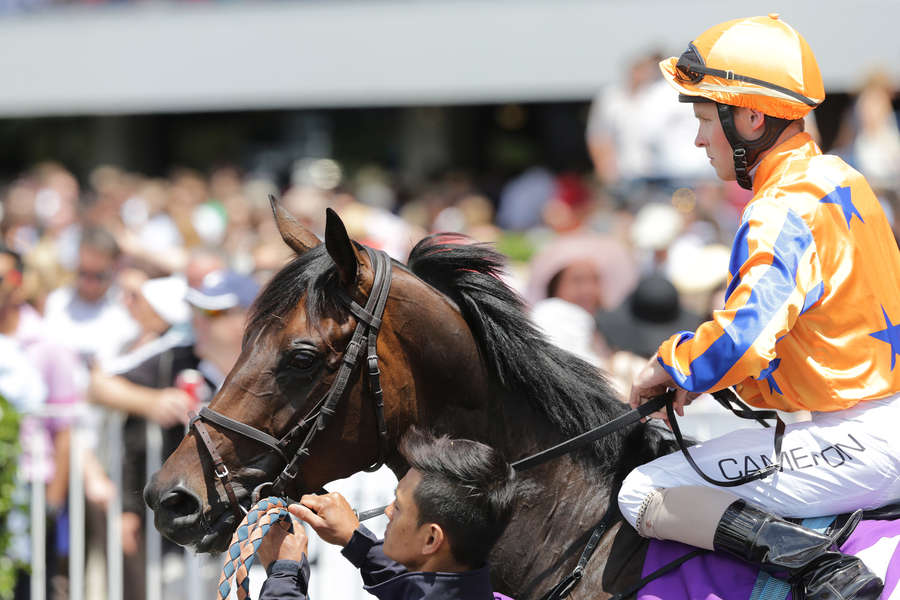 NZ Racing Desk Snippets