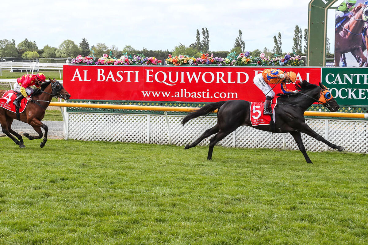 Noverre Nails the Group 1 NZ 2000 Guineas