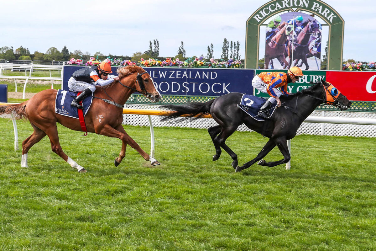 Noverre Dialled in for Guineas
