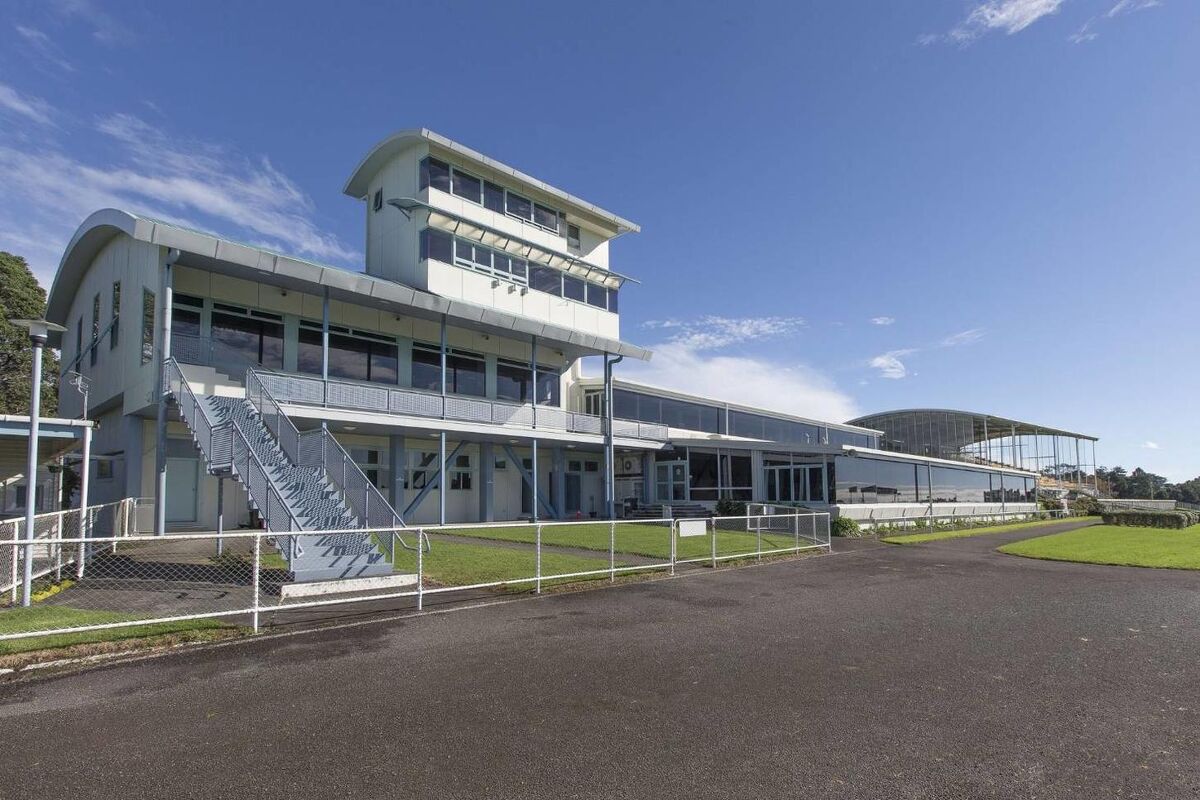 Te Akau New Plymouth Friday Preview