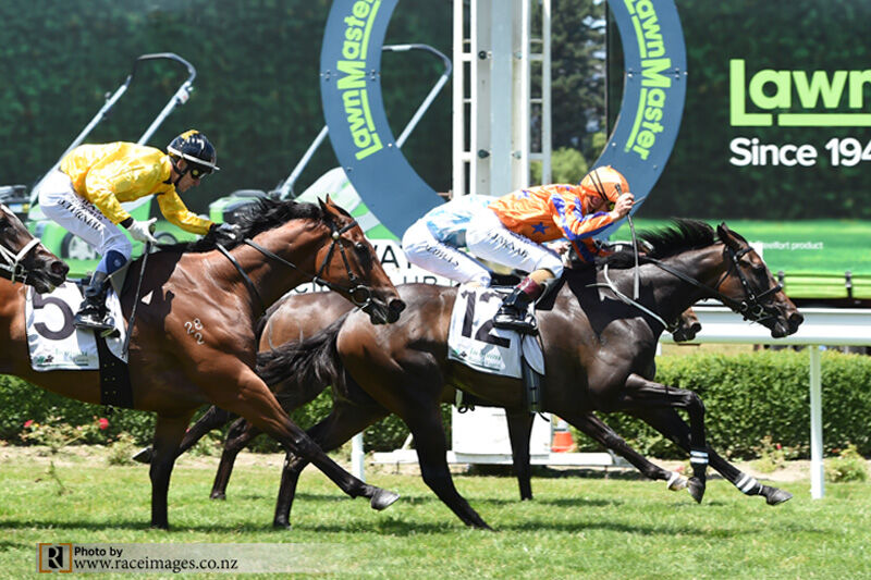 Te Akau Awapuni Preview - RACES POSTPONED