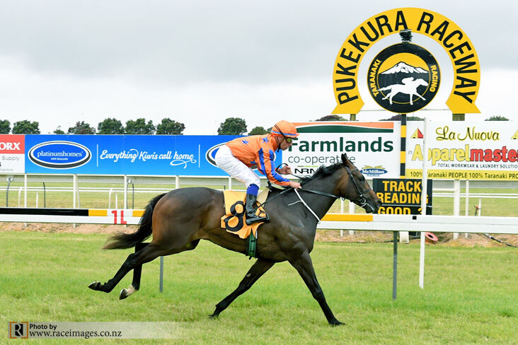 Te Akau Taranaki Sunday Preview