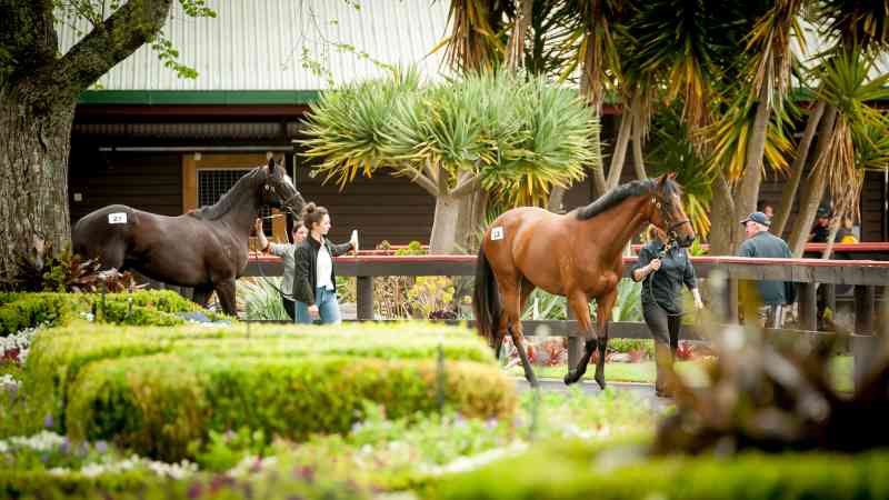 Ready to Run Sale Starts Today