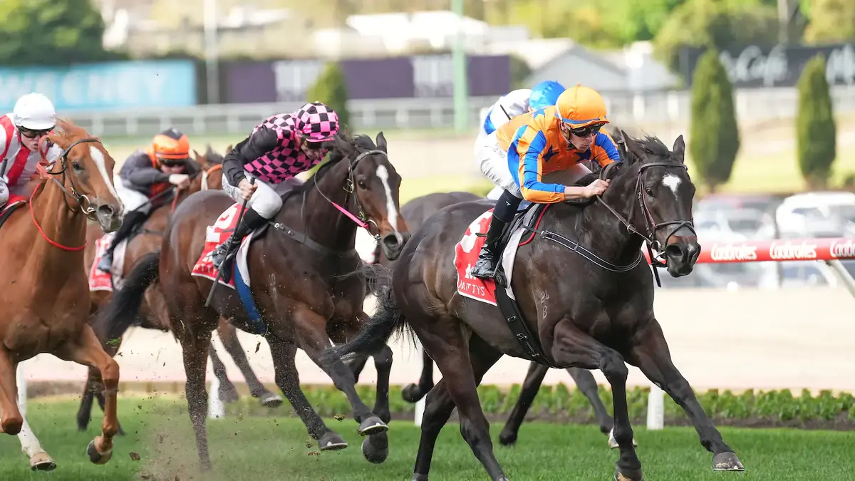 Sydney Next for Imperatriz