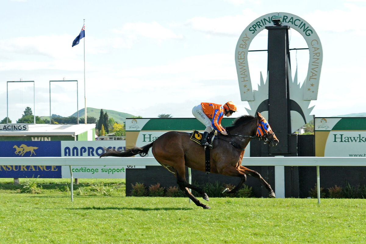 Te Akau Hastings Midweek Preview
