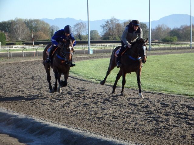 Te Akau Tuesday Trackwork