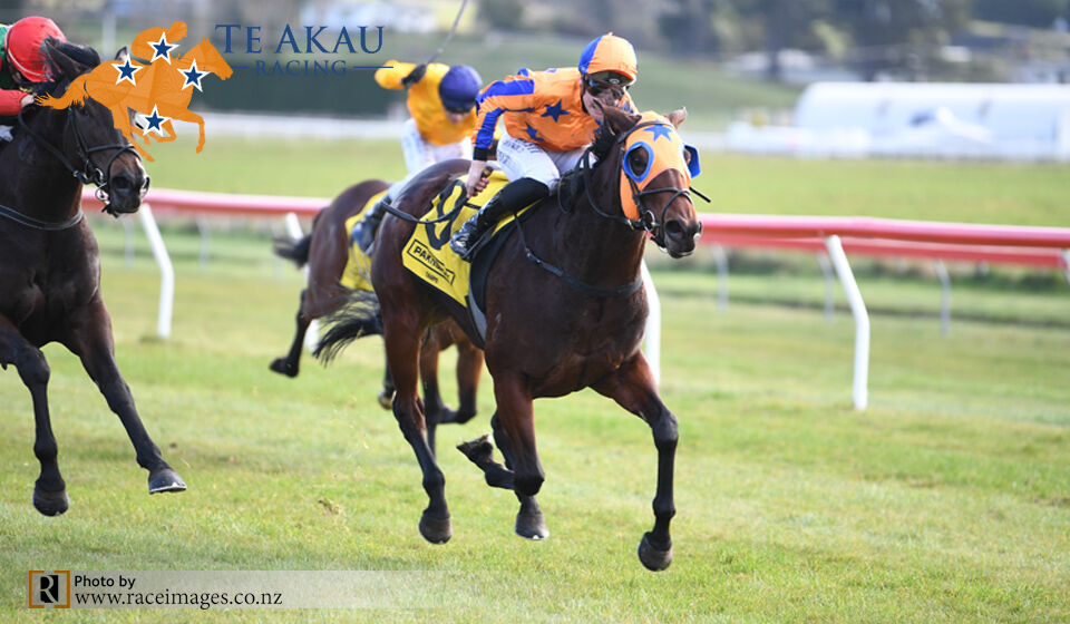 Taupo Win No.2 - Ocean Belle