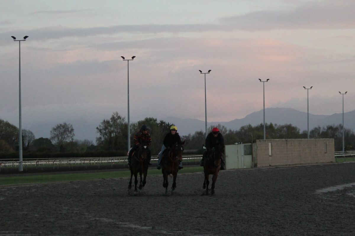 Te Akau NZ & Singapore Tuesday Trackwork