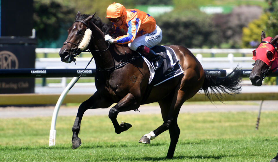 Boxing Day Win 4 - On The Bubbles Bursts Through