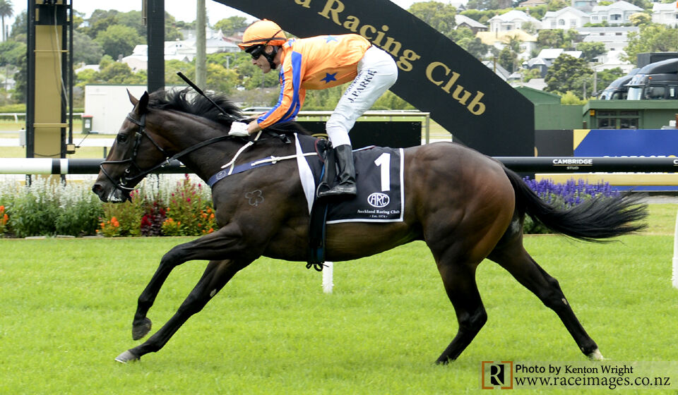 Te Akau Karaka Million Riders Confirmed