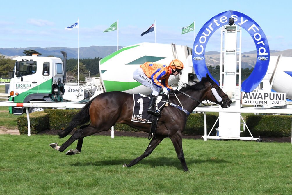 Bolli You Group 1 Beauty