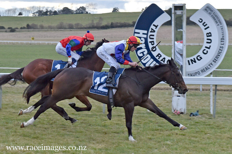 O'Naturelle Poised for Te Akau Hat-trick