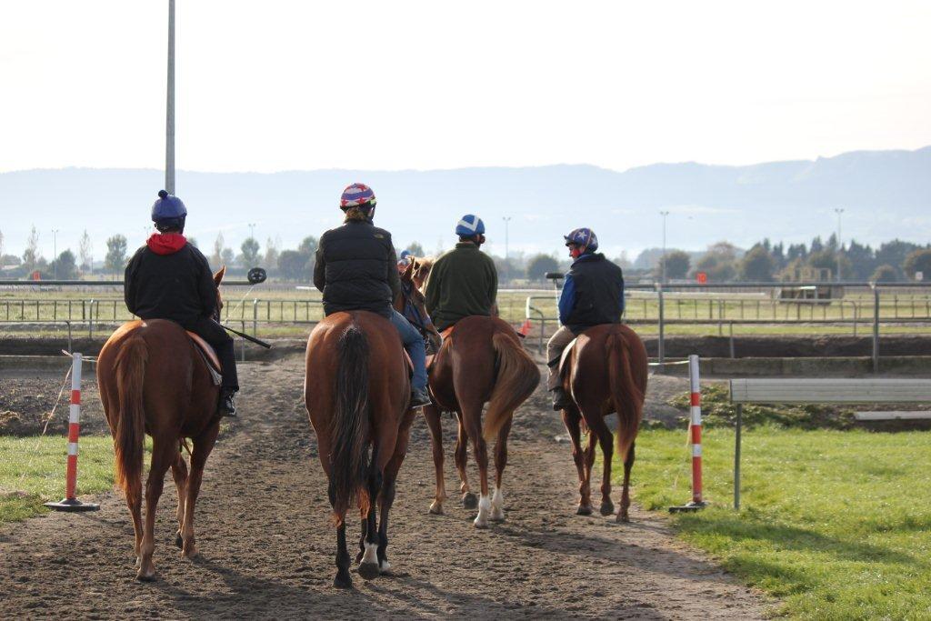 Te Akau Tuesday Trackwork