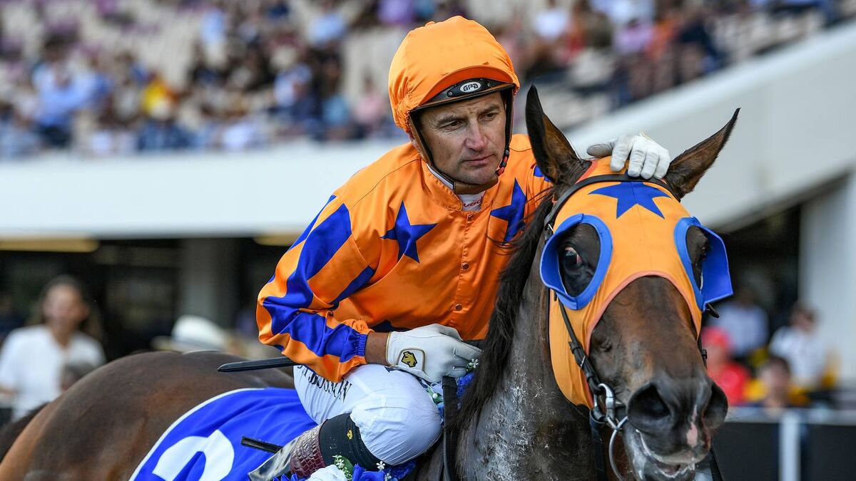 Te Akau Te Aroha Saturday Preview
