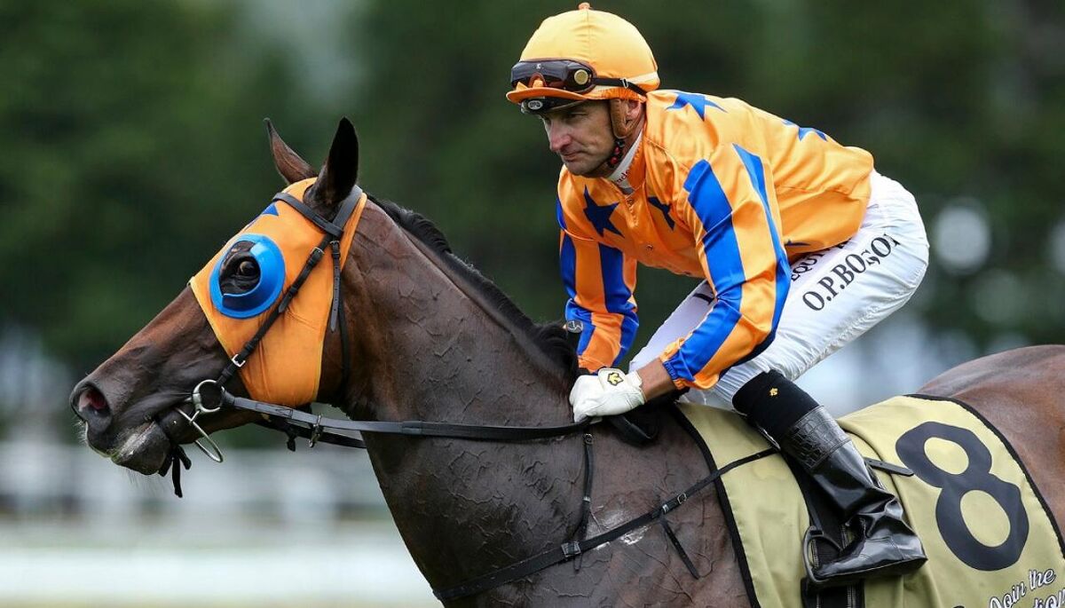NZ Lifestyle Too Alluring for Bosson