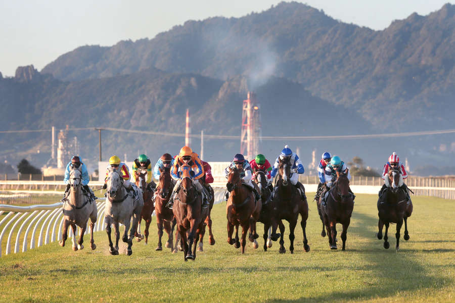 Opulent Ready for Black Type Bid