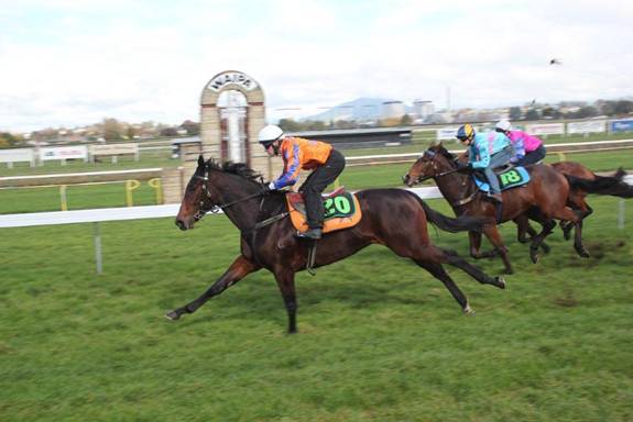 Te Akau Waipa Trials' Report