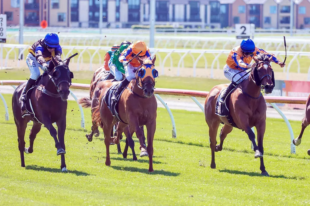 Te Akau Strengthens Guineas' Hand