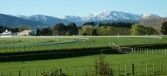 Te Akau NZ Otaki Preview