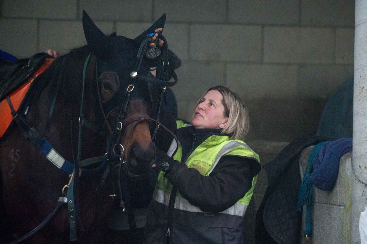Te Akau Weekend Trackwork