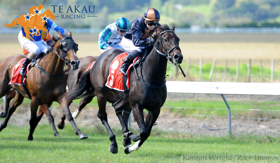Our Abbadean Delightful - Win 75 for Te Akau NZ