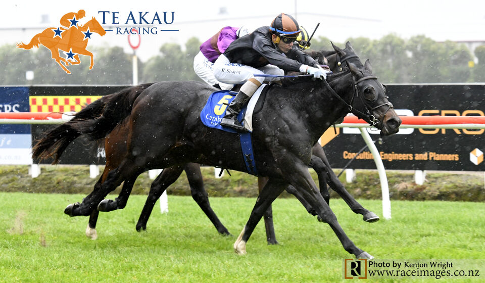 Another Group 2 for Te Akau & Our Abbadean