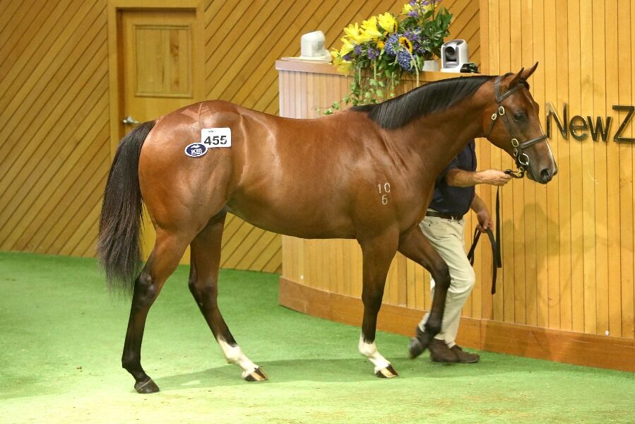 Our Ella Belle Colt joins Katie Lee Colt