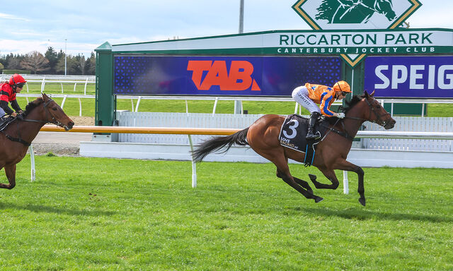Te Akau Trans Tasman Sunday Preview
