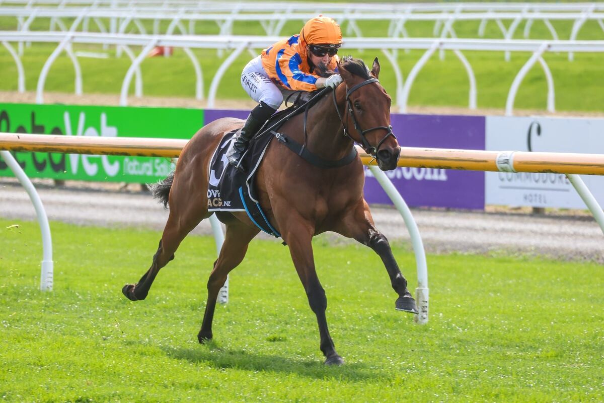 Stakes Win Wouldn't Be 'Out Of The Blue'