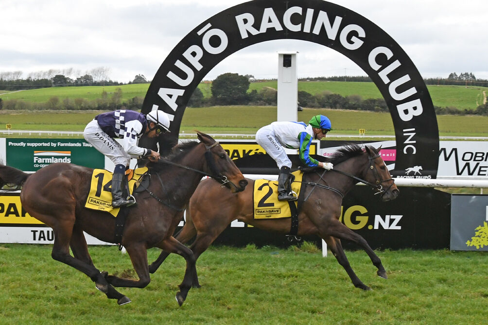 Six-Win Taupo - Win 2 Stylish Outfit