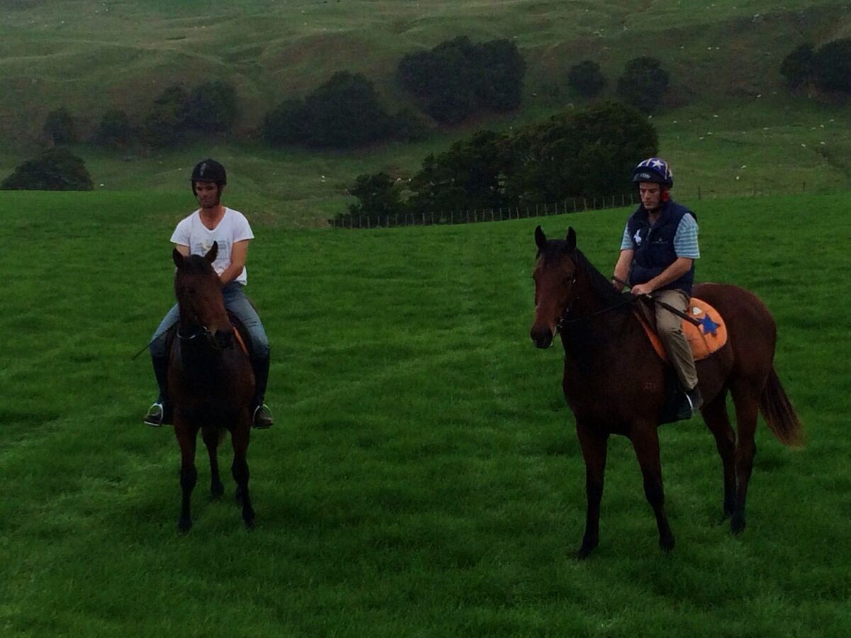 Te Akau Friday Update