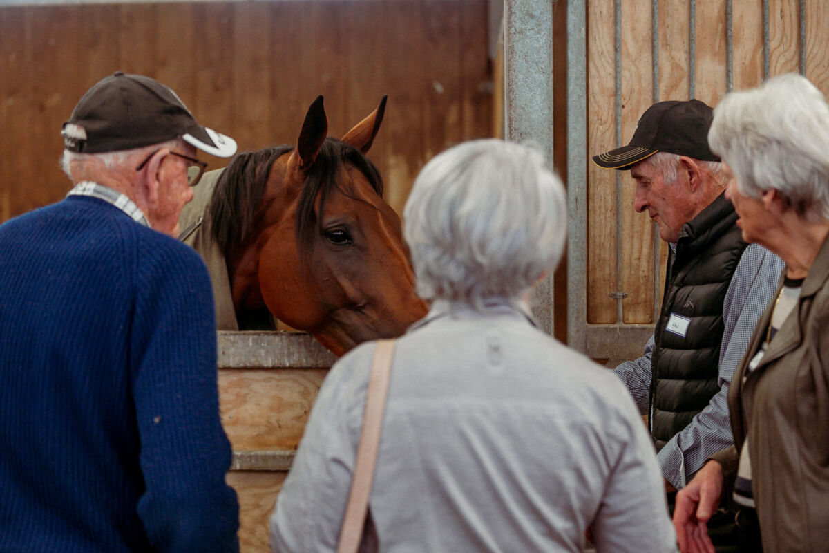 Te Akau Annual North Island Owners' Event