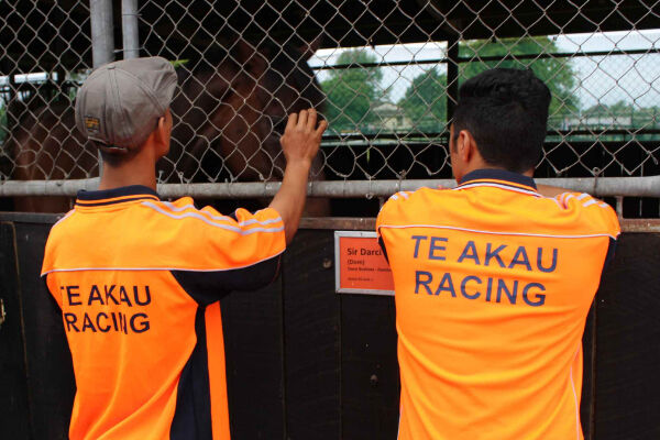 Te Akau Thursday Update