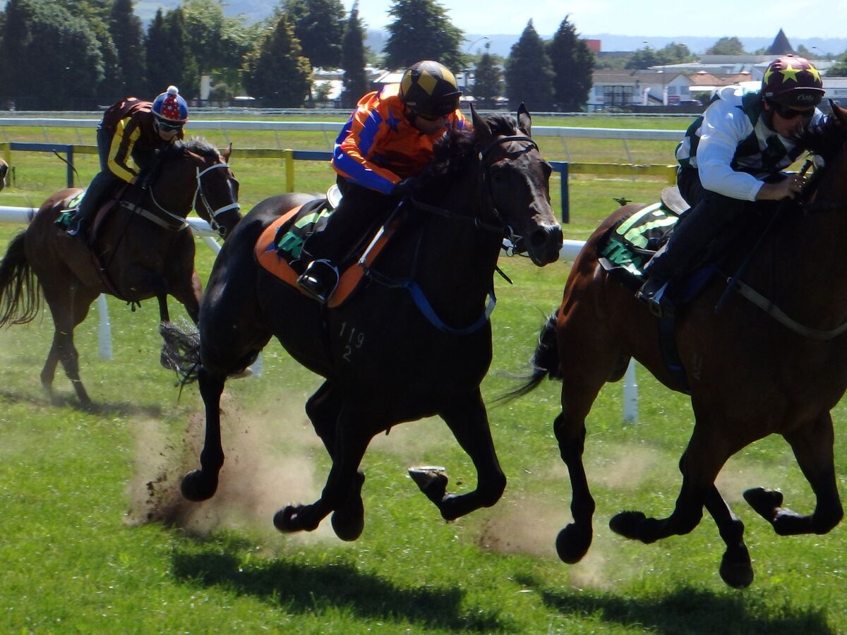 Te Akau Rotorua Trials' Report