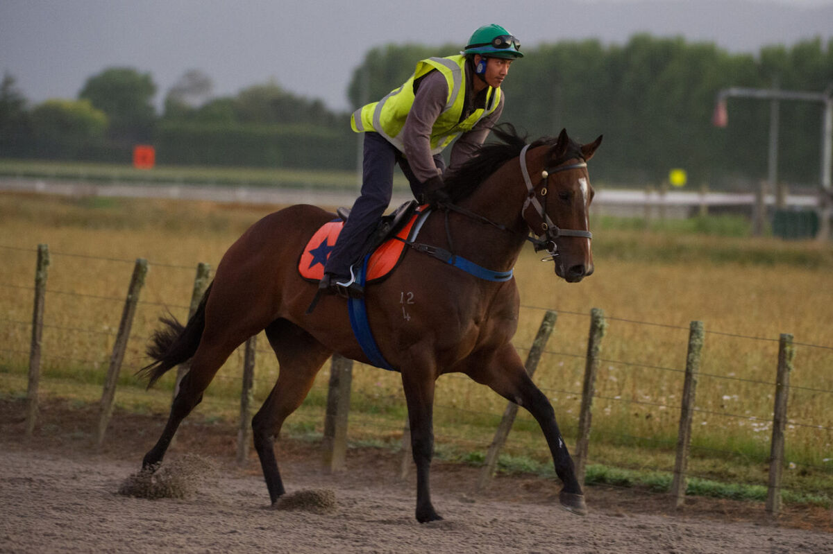 Te Akau Thursday Trackwork