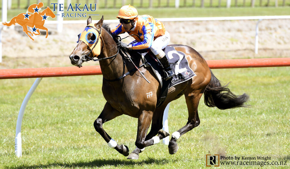 Te Akau Counties' Preview