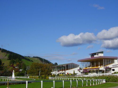Te Akau NZ Paeroa Preview